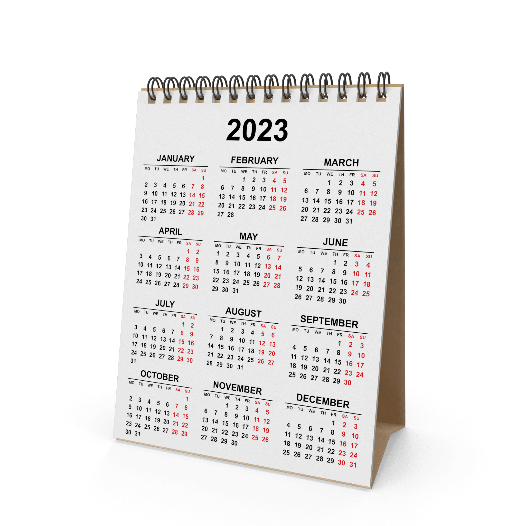 Photo Session-Photoshoot-Fantasy Photos-Mermaid