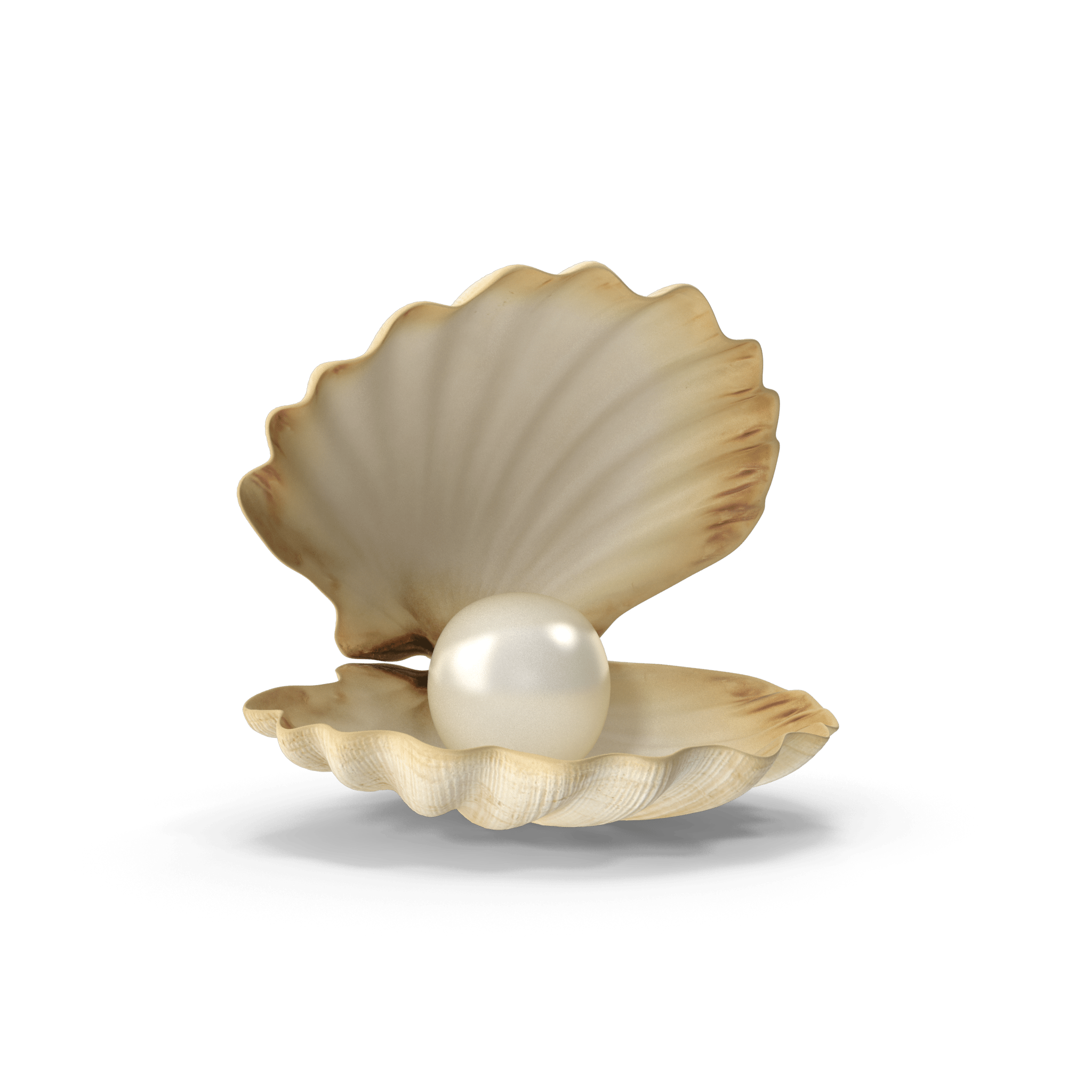 Seashell-Pearl-Treasure-Mermaid-Ocean-Adventure